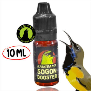 KAMISAMA SOGON BOOSTER (1) bl