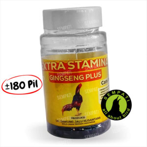 Extra stamina ginseng plus (1) BL