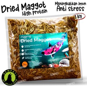 Dried maggot BSF Grade A kemasan 500 gram Home Tiktok