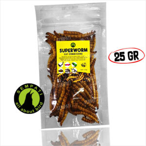 Ulat Jerman Kering SUPERWORM Kemasan 25gr (1) Tiktok