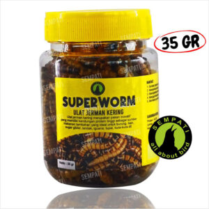 Ulat Jerman Kering SUPERWORM Kemasan Botol 35gr (1) tiktok