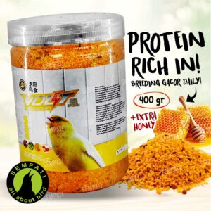 EGG FOOD VOLT HOME TIKTOK