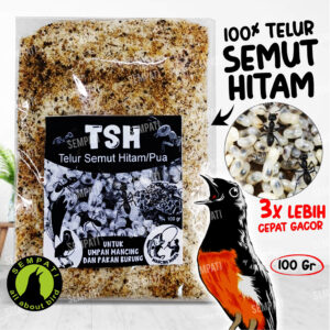 TSH Telur Semut Hitam 100 gr SEM-PKN-TSH-100 Home Tiktok