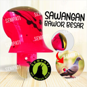 04 BAWOR BESAR - IPL-SWG-BWR-BSR (1) 3
