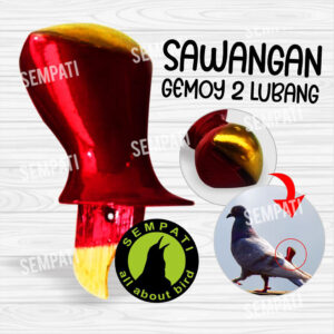 06 GEMOY 2 LUBANG - IPL-SWG-2LB-GMY (1) 3