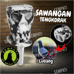 07 TENGKORAK 1 LUBANG - IPL-SWG-1LB-TRK (1) 3