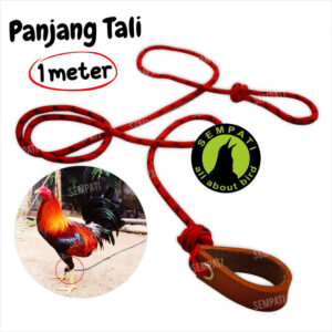 Tali Kaki Ayam Full Perusik Panjang 1meter (2) BL